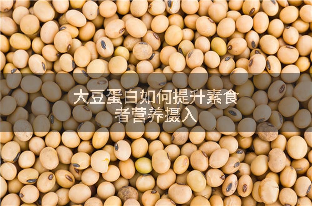大豆蛋白如何提升素食者营养摄入