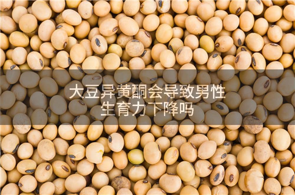 大豆异黄酮会导致男性生育力下降吗