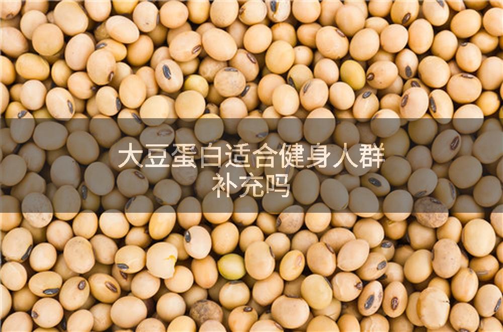 大豆蛋白适合健身人群补充吗