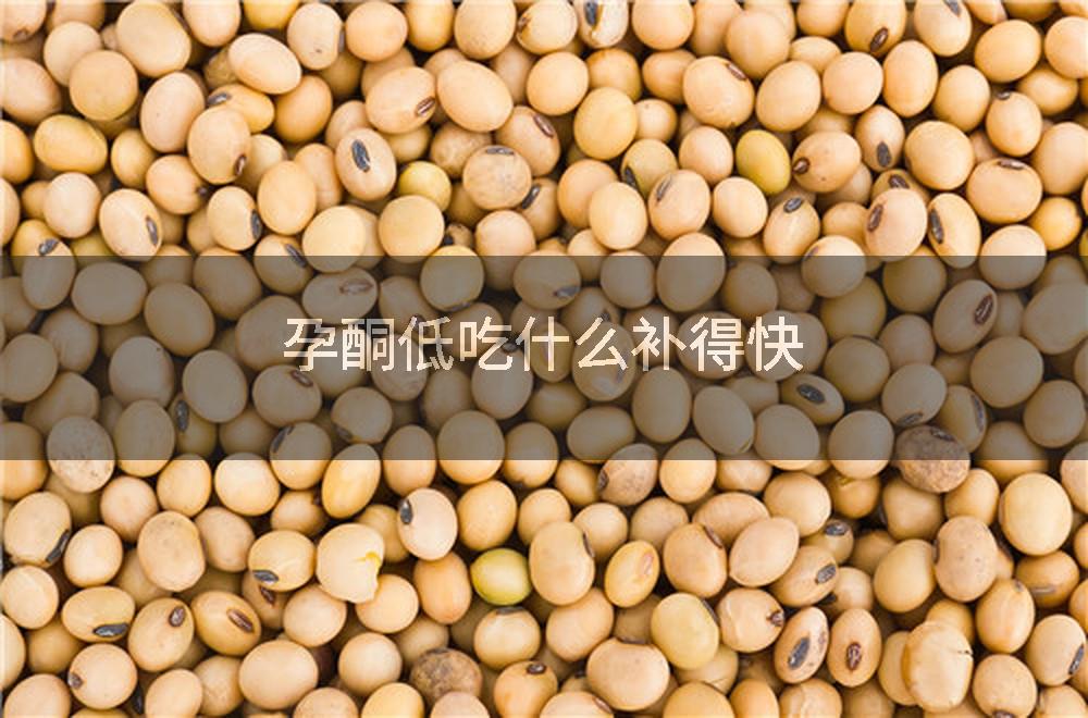 孕酮低吃什么补得快