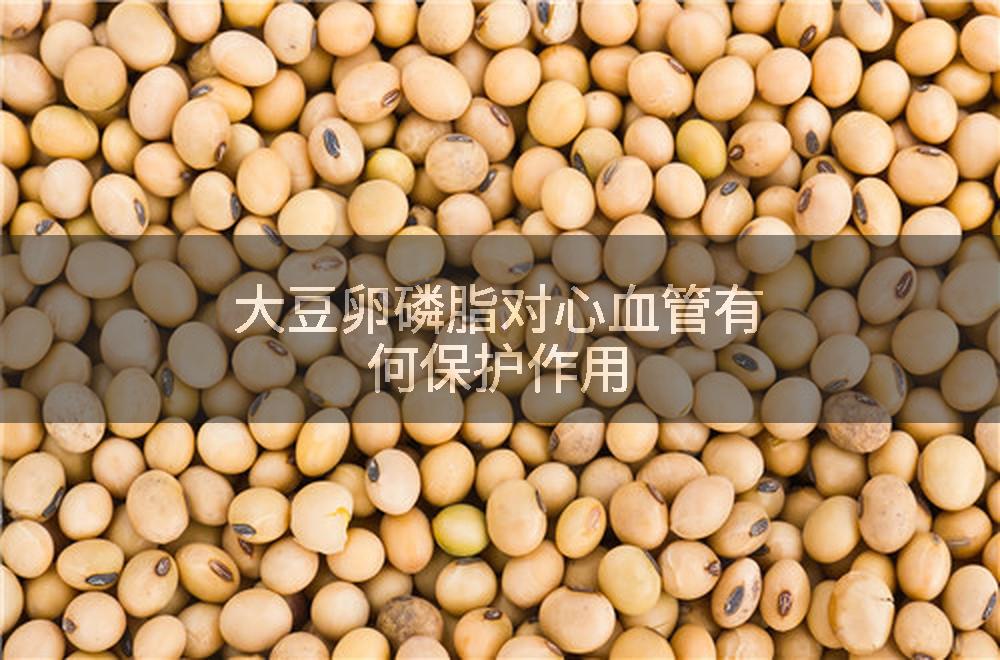 大豆卵磷脂对心血管有何保护作用