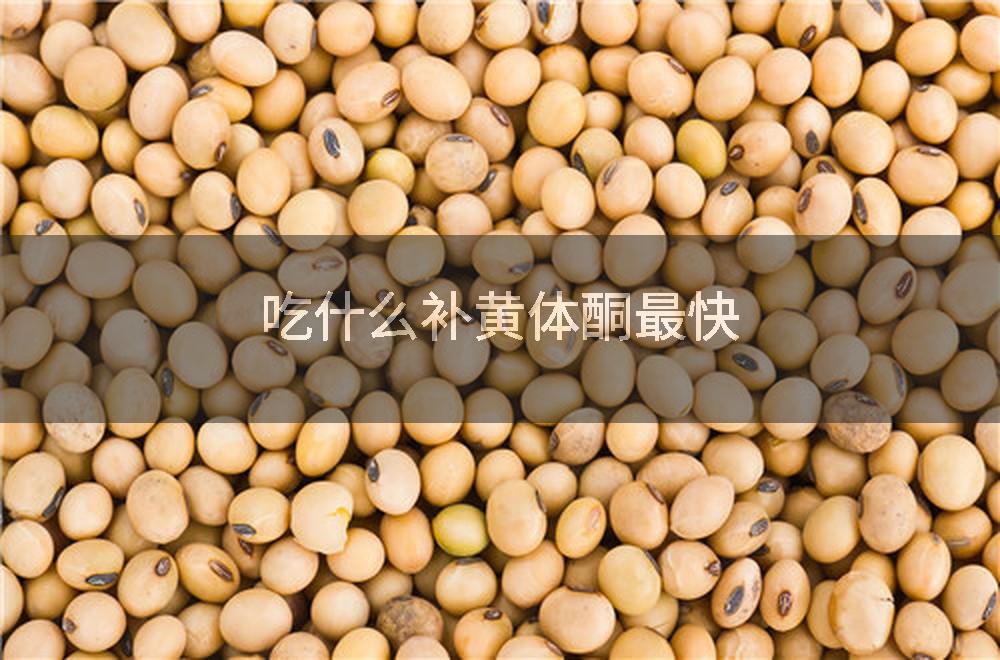 吃什么补黄体酮最快