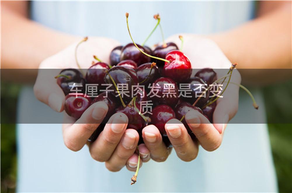 车厘子果肉发黑是否变质