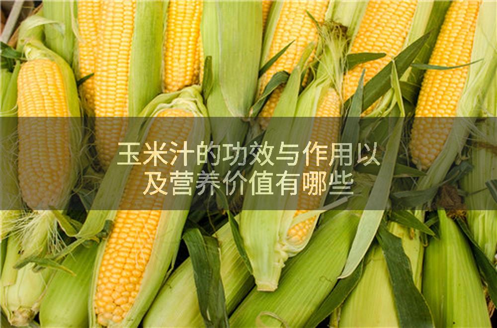 玉米汁的功效与作用以及营养价值有哪些