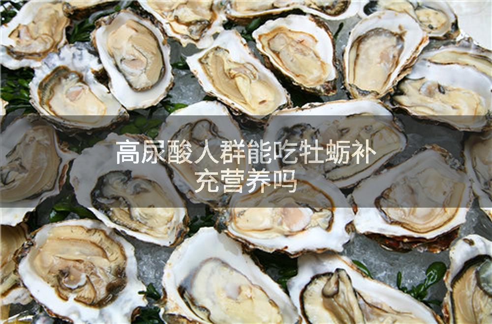 高尿酸人群能吃牡蛎补充营养吗
