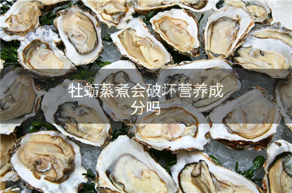 牡蛎蒸煮会破坏营养成分吗