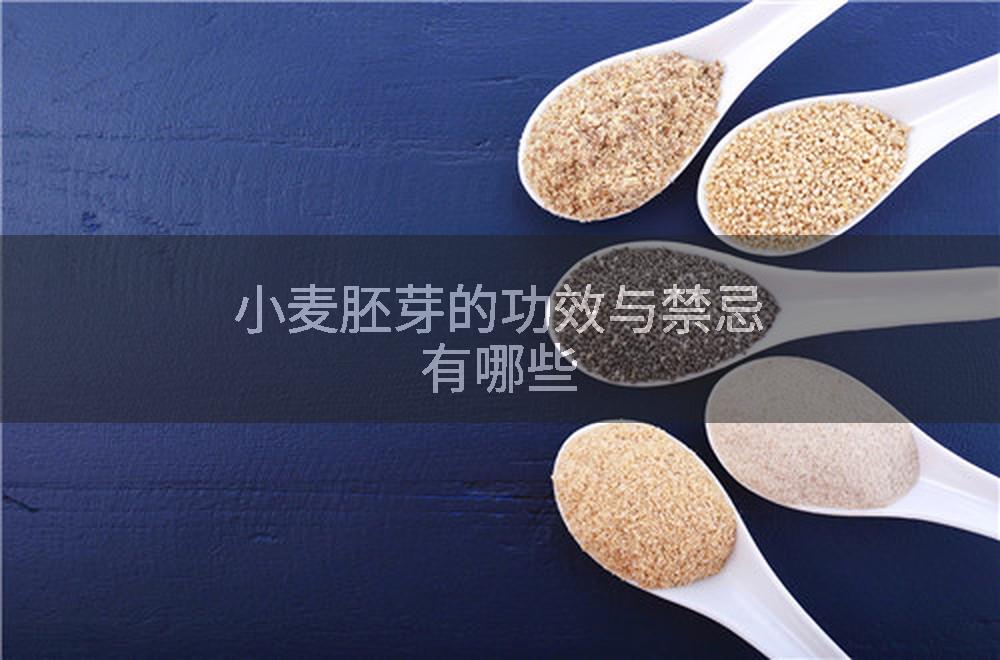 小麦胚芽的功效与禁忌有哪些