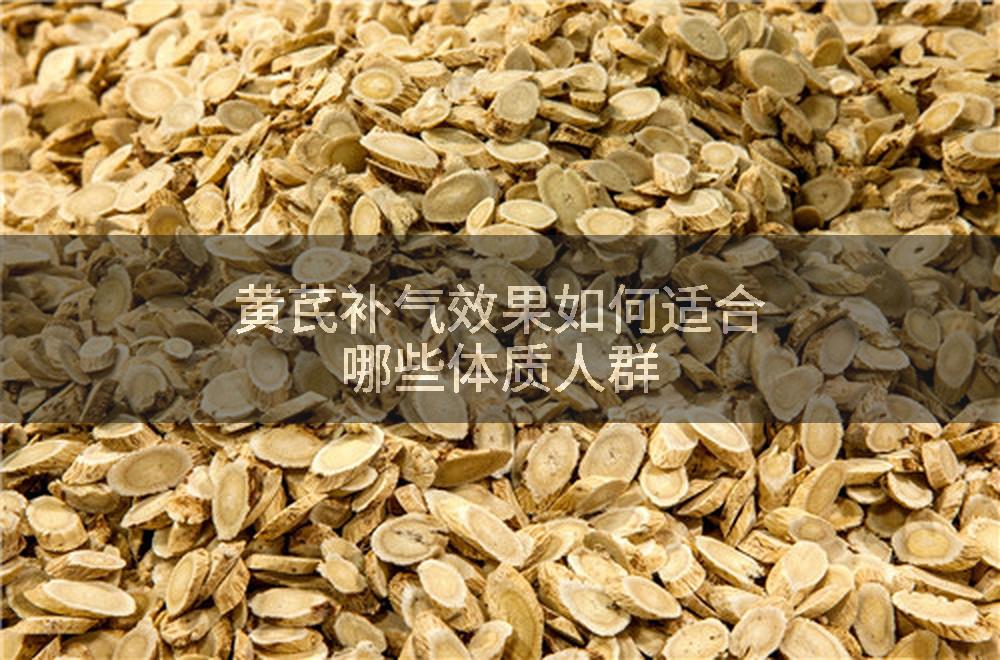 黄芪补气效果如何适合哪些体质人群