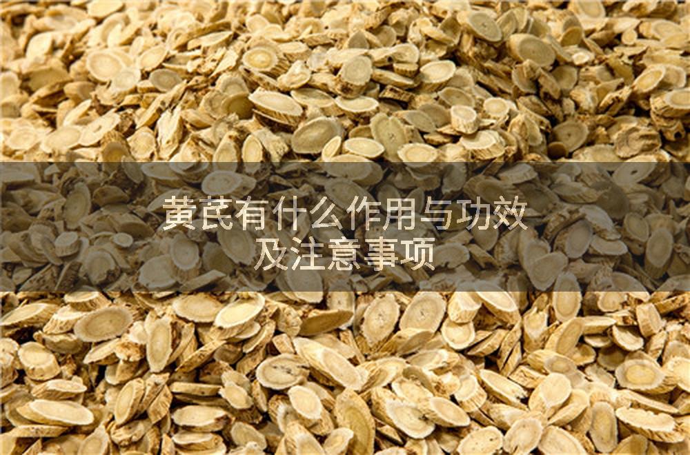 黄芪有什么作用与功效及注意事项