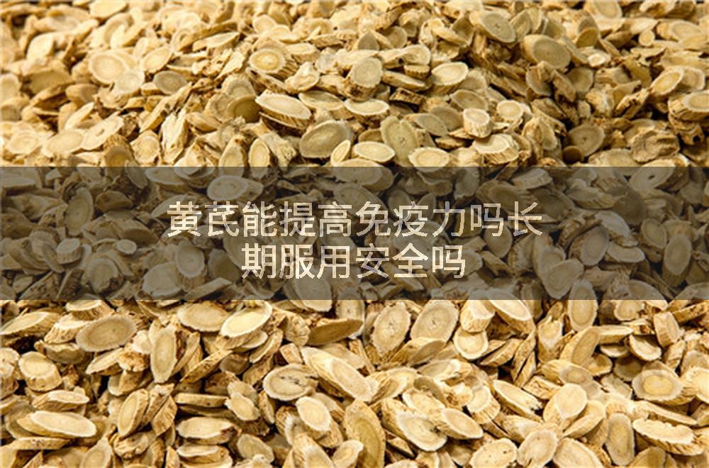 黄芪能提高免疫力吗长期服用安全吗