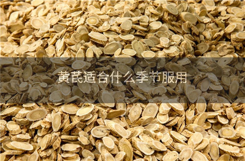 黄芪适合什么季节服用