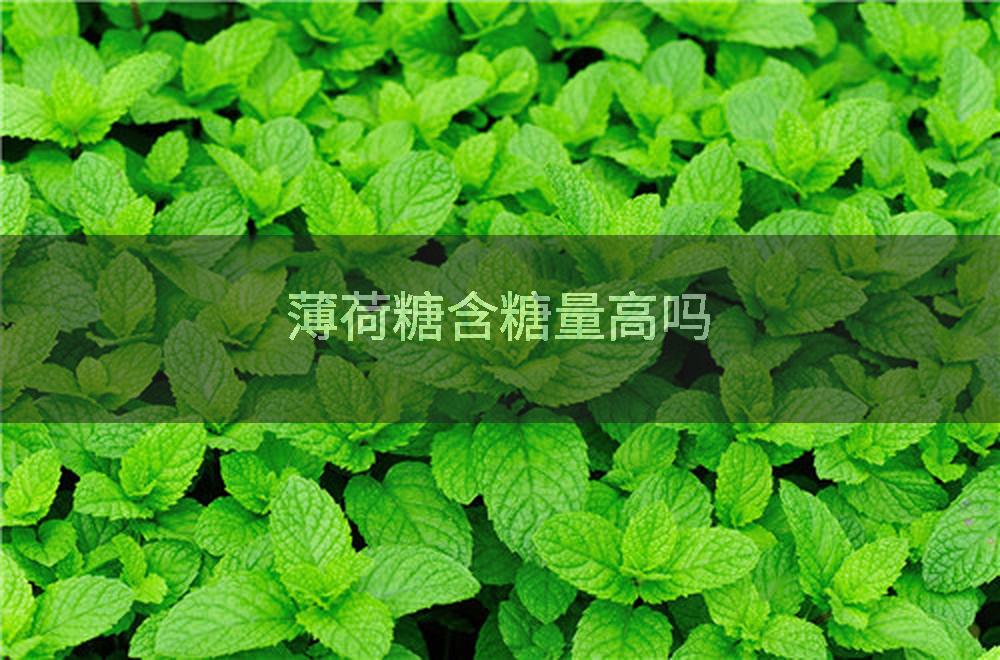 薄荷糖含糖量高吗