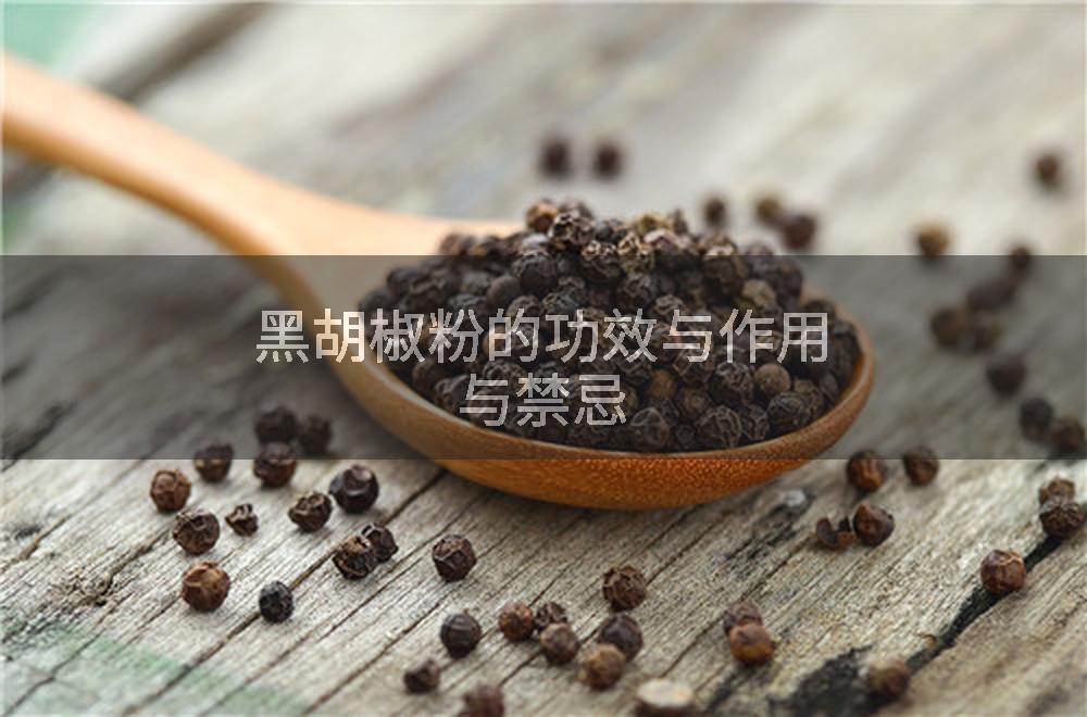黑胡椒粉的功效与作用与禁忌