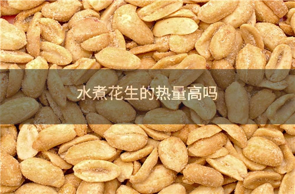 水煮花生的热量高吗