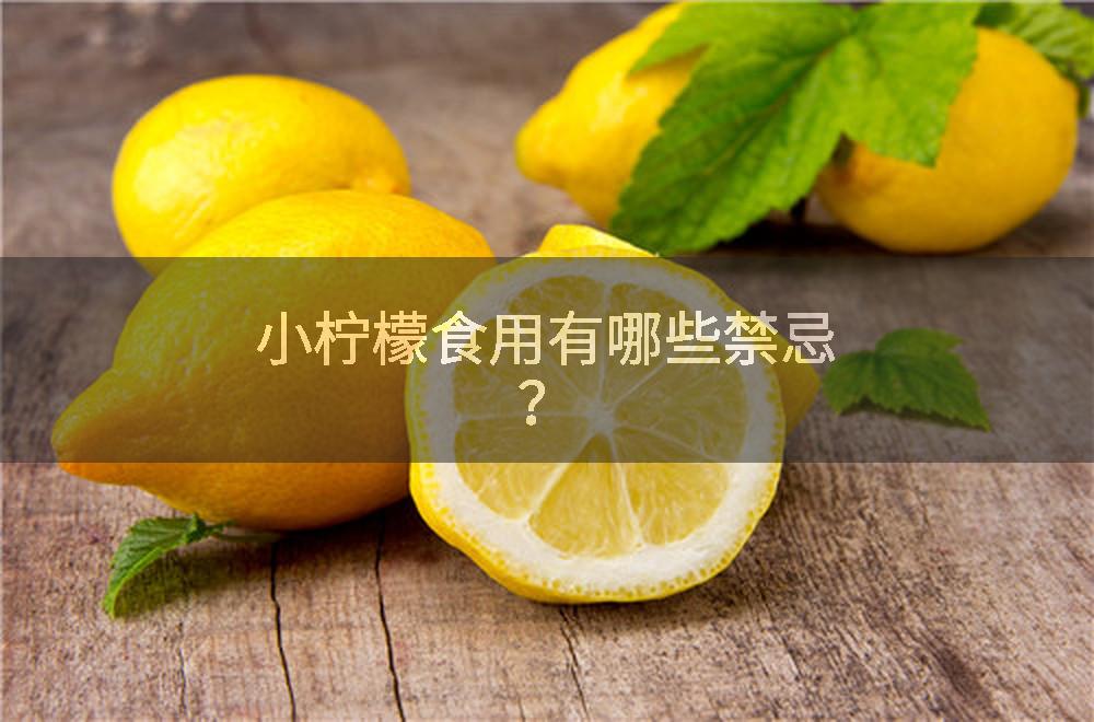 小柠檬食用有哪些禁忌？