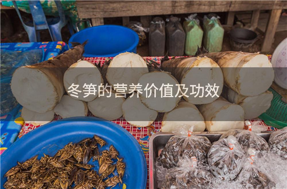 冬笋的营养价值及功效