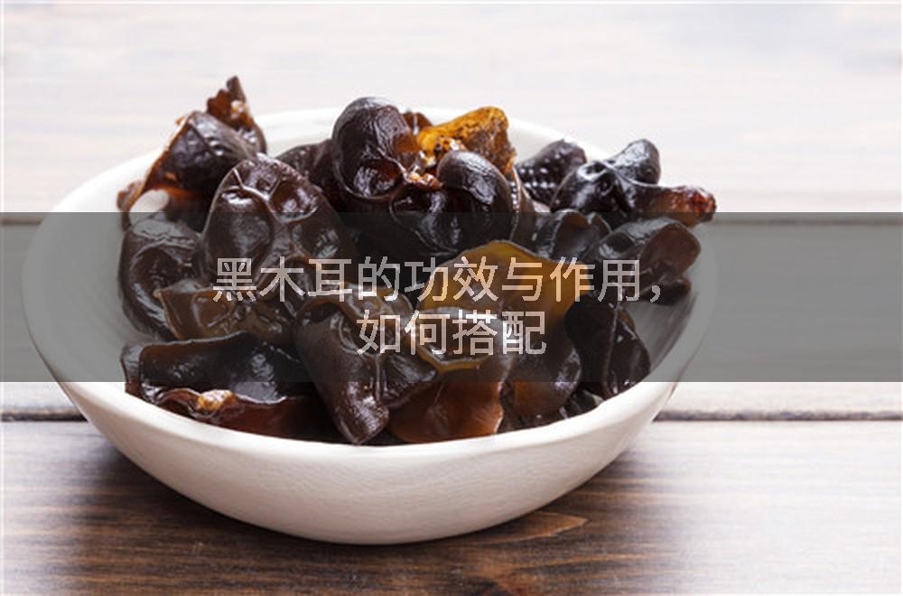 黑木耳的功效与作用，如何搭配