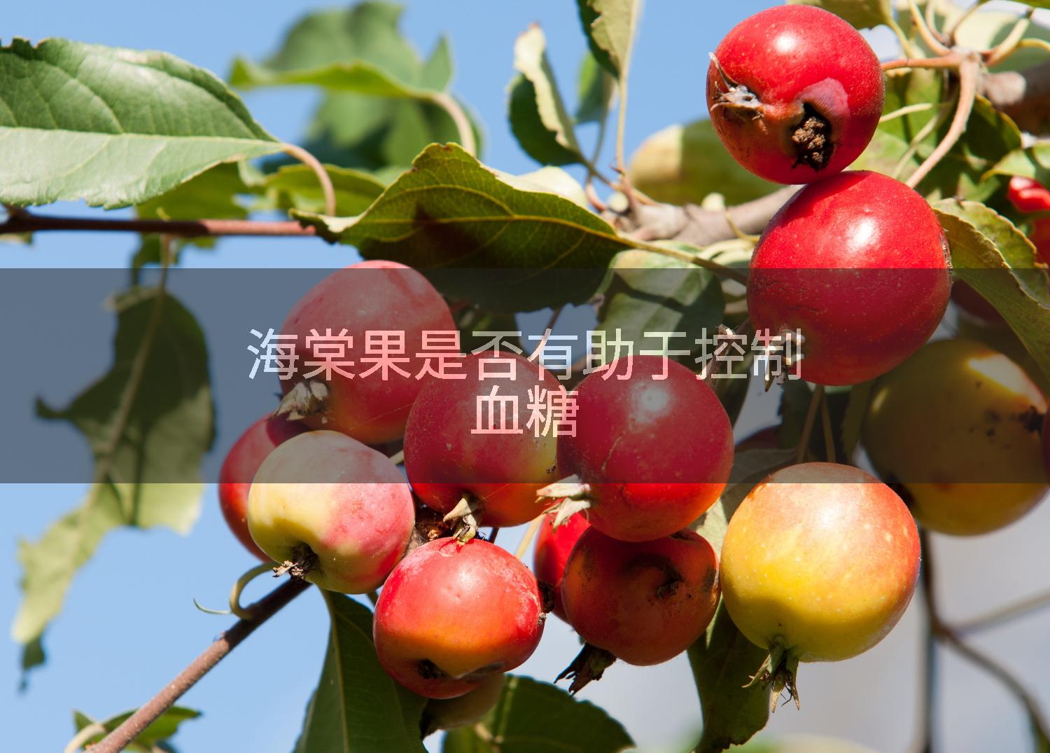 海棠果是否有助于控制血糖