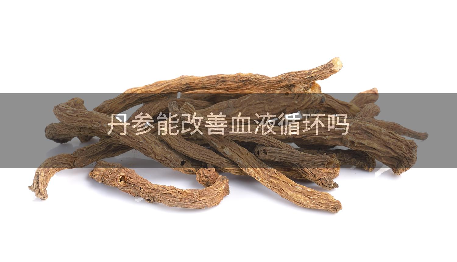 丹参能改善血液循环吗