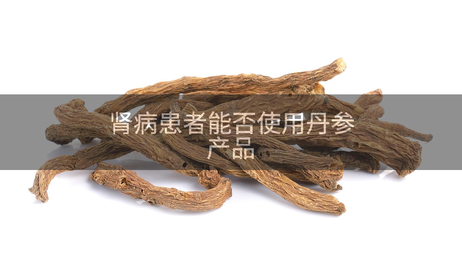 肾病患者能否使用丹参产品