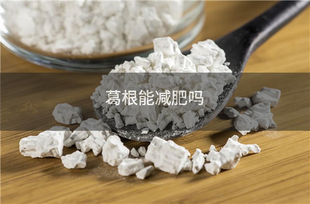 葛根能减肥吗