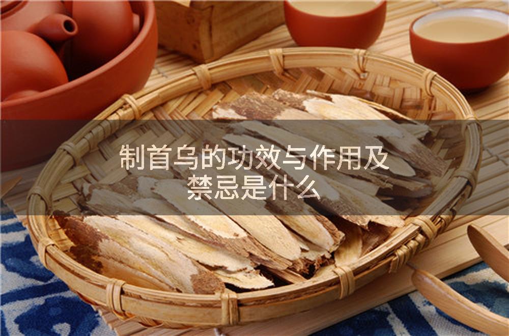 制首乌的功效与作用及禁忌是什么