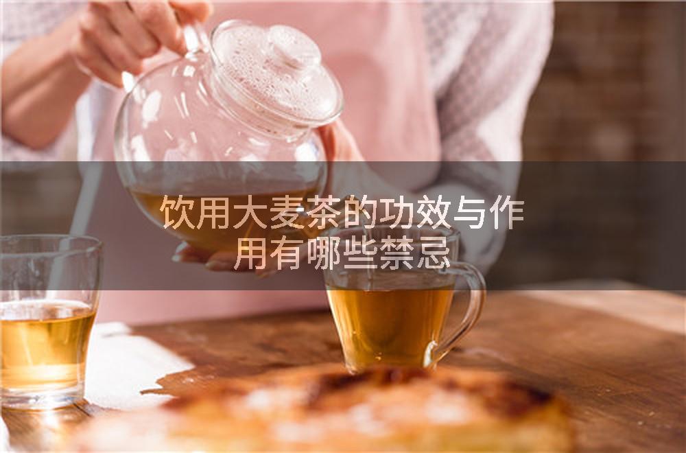 饮用大麦茶的功效与作用有哪些禁忌