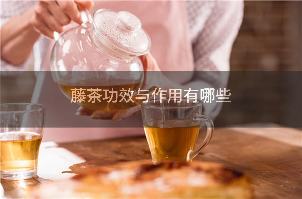 藤茶功效与作用有哪些
