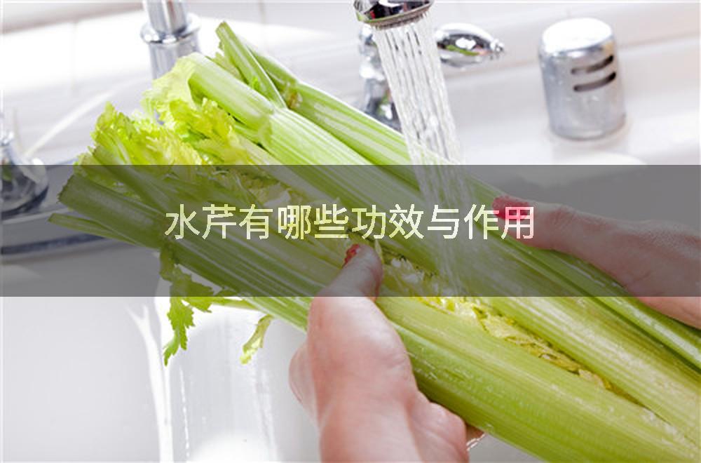 水芹有哪些功效与作用