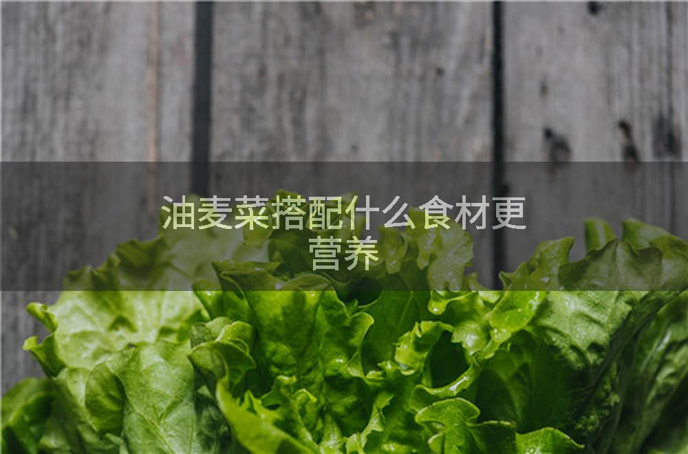 油麦菜搭配什么食材更营养