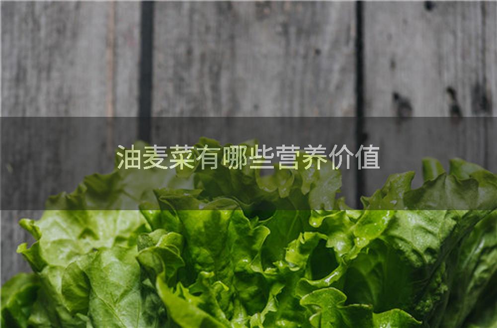 油麦菜有哪些营养价值
