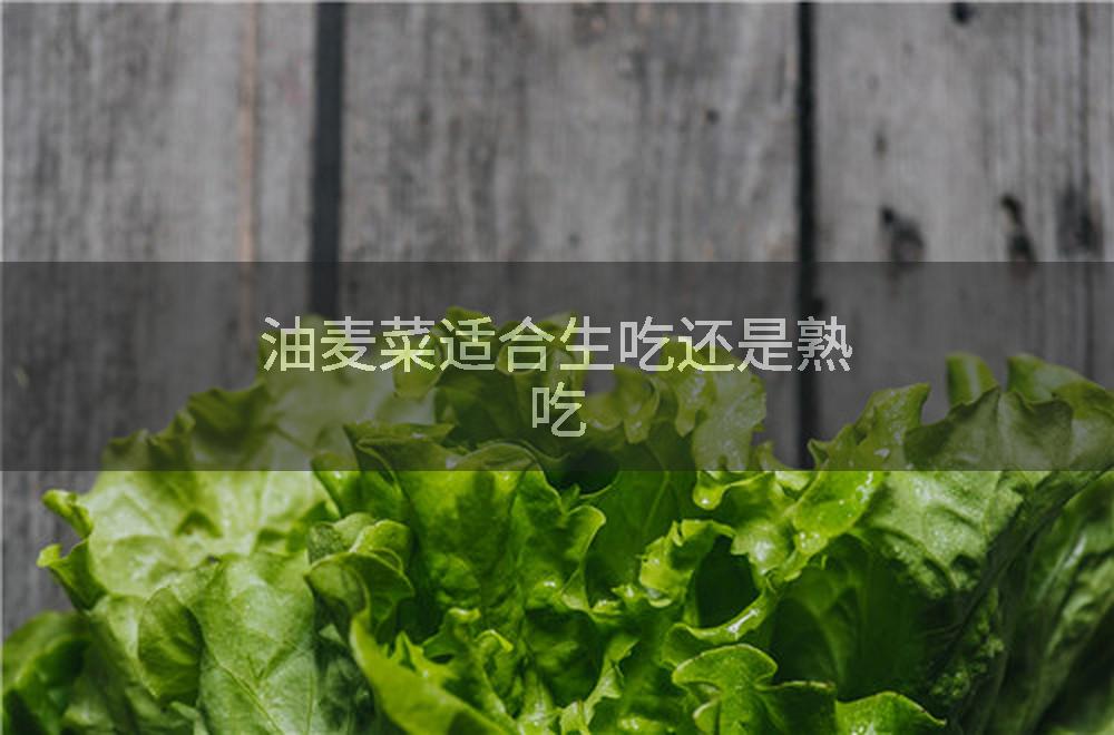 油麦菜适合生吃还是熟吃