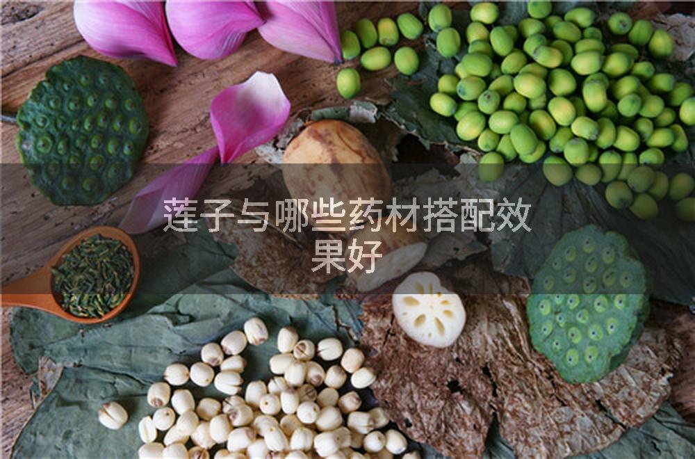 莲子与哪些药材搭配效果好