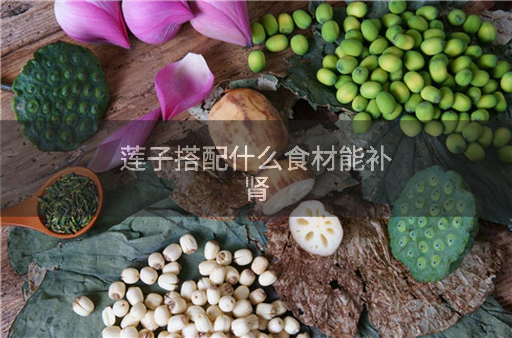 莲子搭配什么食材能补肾