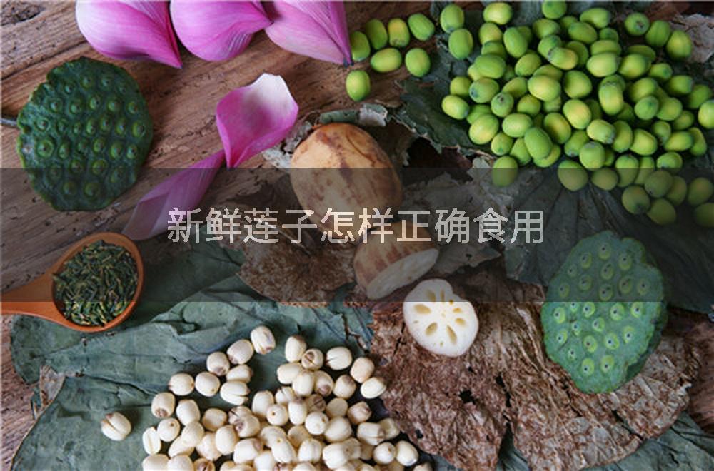 新鮮蓮子怎樣正確食用