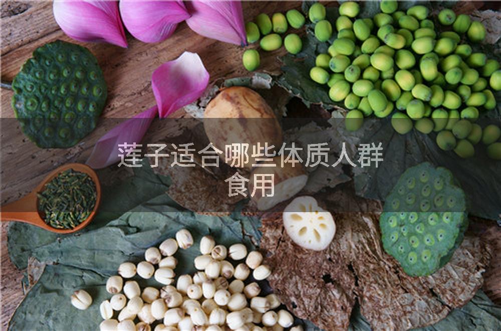 莲子适合哪些体质人群食用