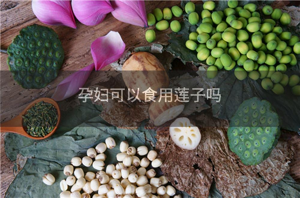 孕妇可以食用莲子吗