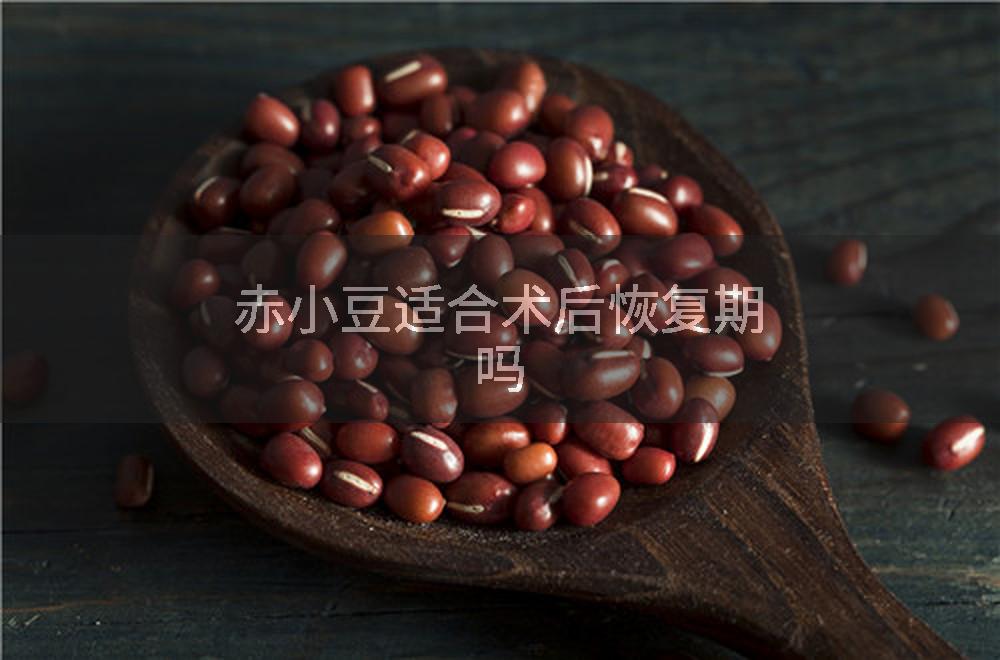 赤小豆适合术后恢复期吗