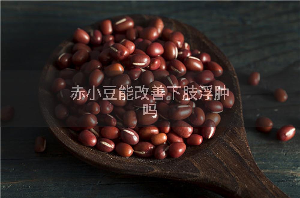 赤小豆能改善下肢浮肿吗
