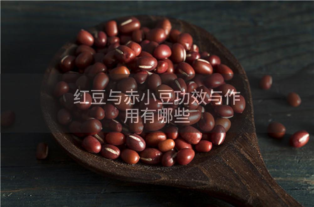 红豆与赤小豆功效与作用有哪些
