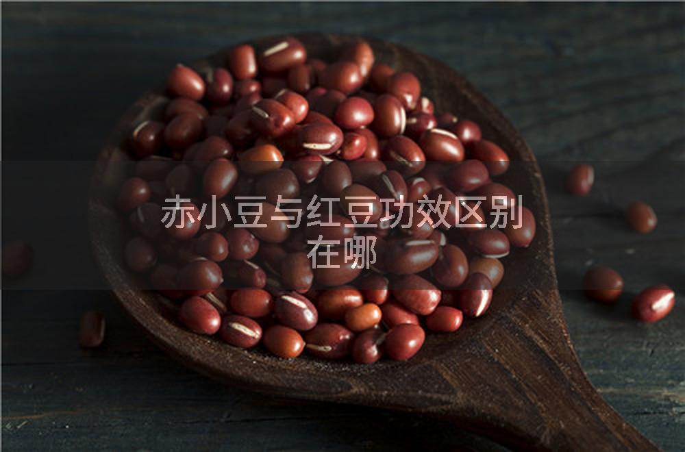 赤小豆与红豆功效区别在哪