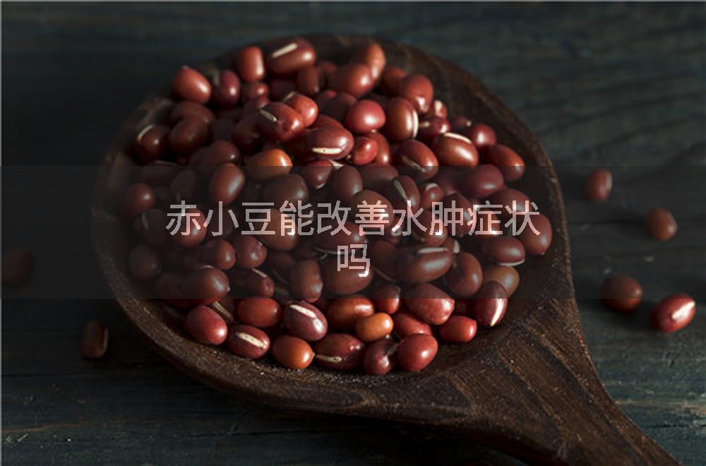 赤小豆能改善水肿症状吗