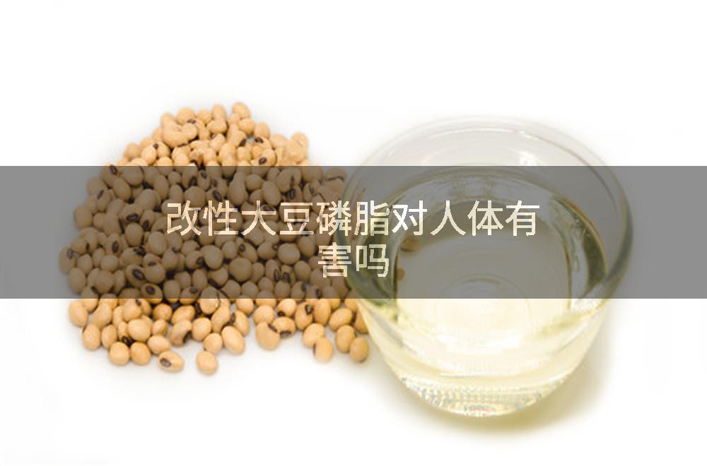 改性大豆磷脂对人体有害吗