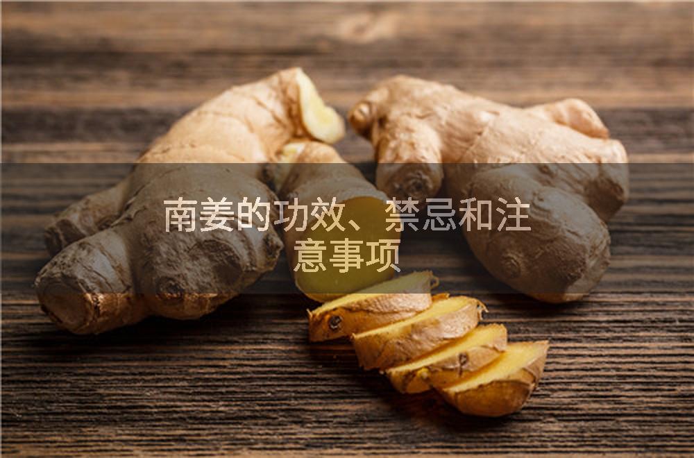 南姜的功效、禁忌和注意事项