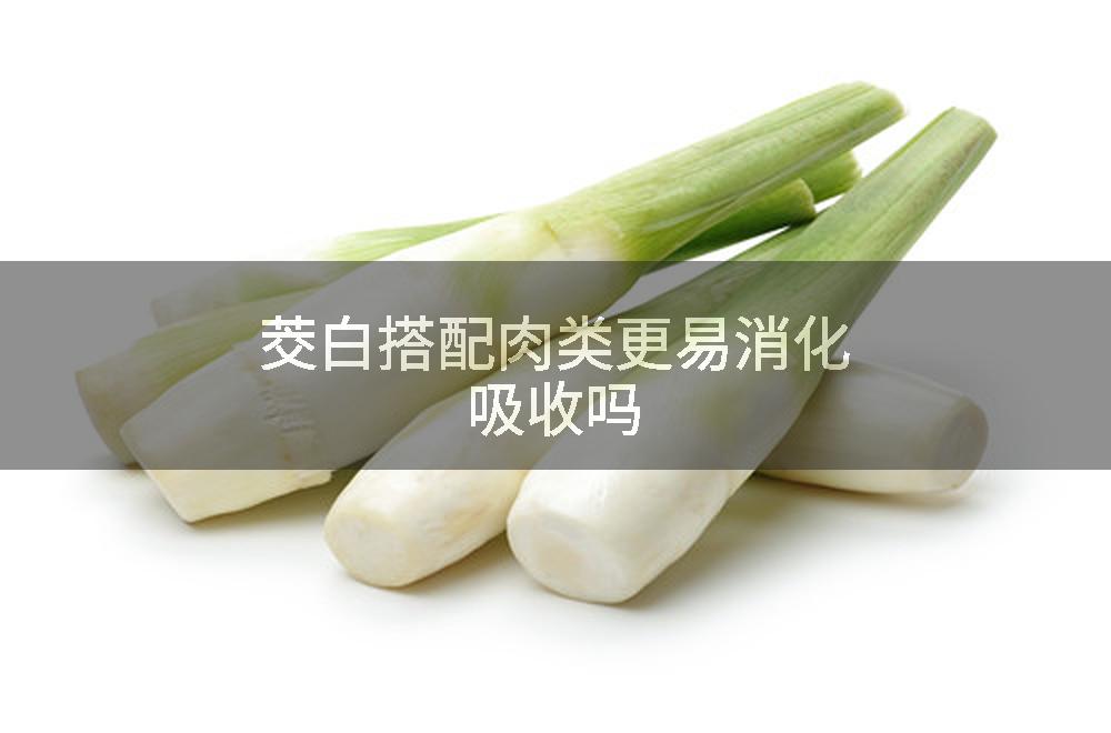 茭白搭配肉类更易消化吸收吗
