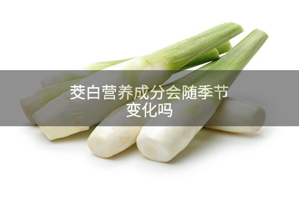 茭白营养成分会随季节变化吗