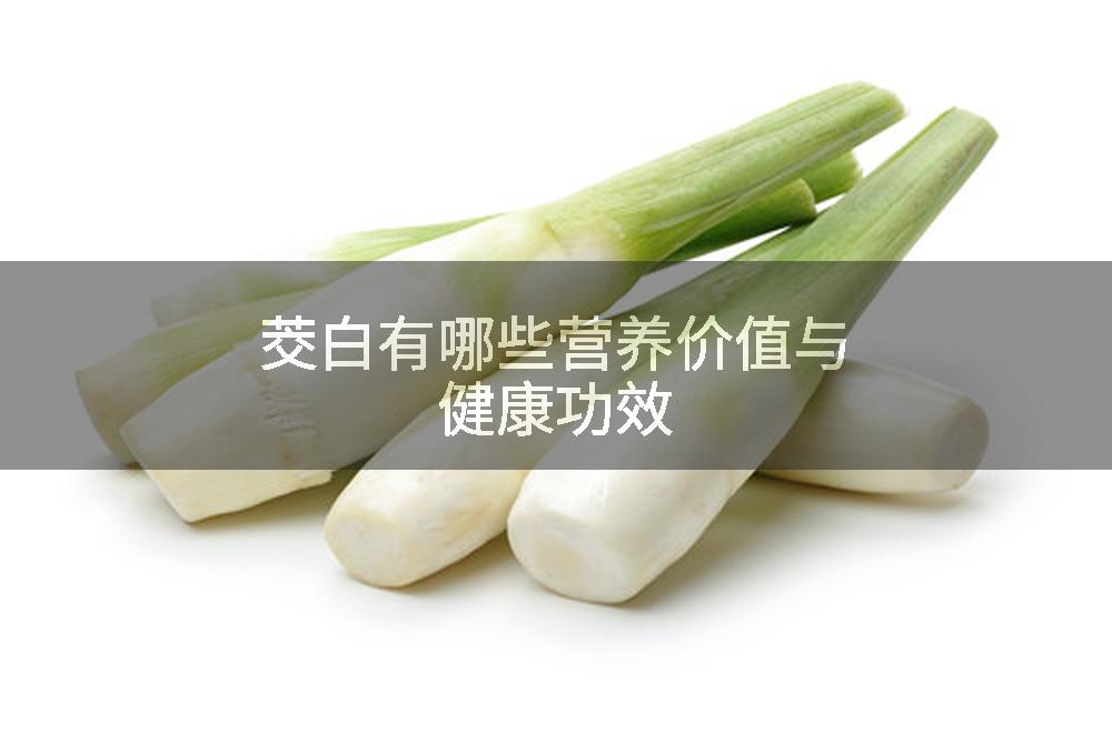 茭白有哪些营养价值与健康功效
