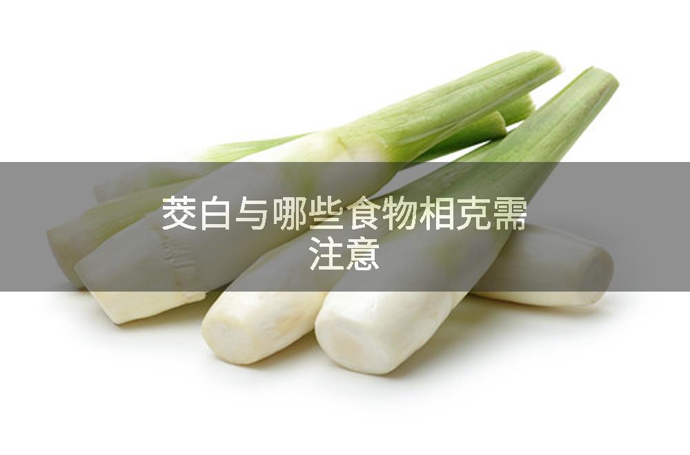 茭白与哪些食物相克需注意