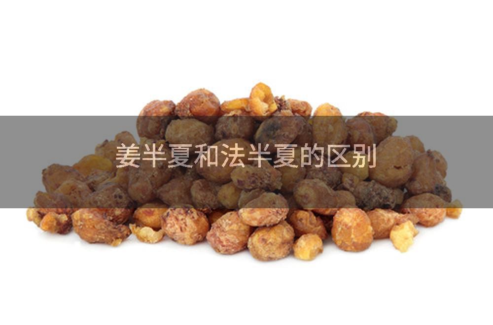 姜半夏和法半夏的区别