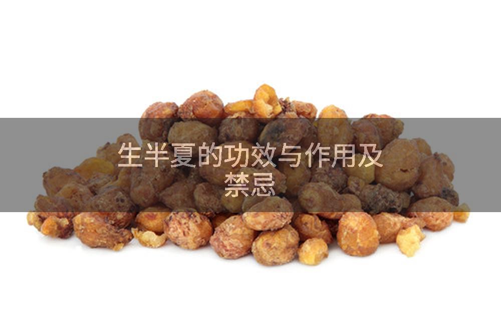 生半夏的功效与作用及禁忌